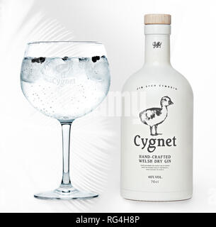 Cygnet Handwerk gin Flasche Gin und Tonic Stockfoto