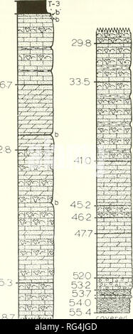 . Bulletins der amerikanischen Paläontologie. 200 Bulletin 267 12-8. 25-3 2 87 Mw ^^^^. Bitte beachten Sie, dass diese Bilder sind von der gescannten Seite Bilder, die digital für die Lesbarkeit verbessert haben mögen - Färbung und Aussehen dieser Abbildungen können nicht perfekt dem Original ähneln. extrahiert. Paläontologische Forschung Institution (Ithaca, N.Y.); Columbia University. Ithaca, N.Y., paläontologische Forschung Institution [etc. ] Stockfoto