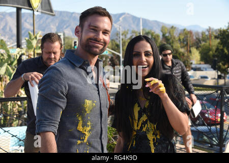 Seann William Scott, Nishi Munshi, 'Lethal Weapon' Saison 3. Foto: Fox Broadcasting Co./Hollywood Archiv (2019) Stockfoto