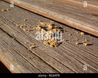 Sand auf der Platine im Herbst zerstreut, Moskau Stockfoto