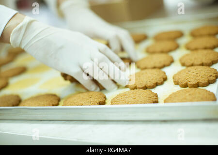 In Schutzkleidung Workier arbeiten in den cookies Factory Stockfoto