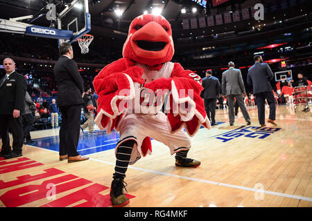 New York, New York, USA. 27 Jan, 2019. St. John's Red Storm Maskottchen vor dem Spiel gegen die Georgetown Hoyas im Madison Square Garden. Credit: Terrence Williams/ZUMA Draht/Alamy leben Nachrichten Stockfoto