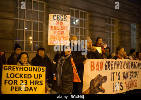 London, Großbritannien. 27 Jan, 2019. Caged Bundesweite Protest außerhalb des Park Plaza Hotel, wo die Greyhound Board von Großbritannien Feiern mit einem Abendessen. Credit: George Cracknell Wright/Alamy leben Nachrichten Stockfoto