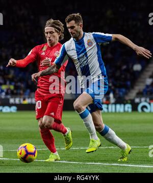 Barcelona, Spanien. 27 Jan, 2019. Die RCD Espanyol Leo Baptistao (R) Mias mit Real Madrid Luka Modric während der spanischen Liga Match zwischen RCD Espanyol Barcelona und Real Madrid, Spanien, Jan. 27, 2019. RCD Espanyol verlieren 2-4. Credit: Joan Gosa/Xinhua/Alamy leben Nachrichten Stockfoto