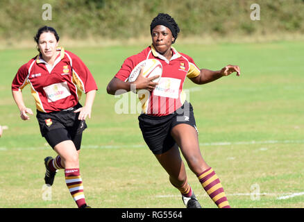 Ladies Amateur rugby union Stockfoto