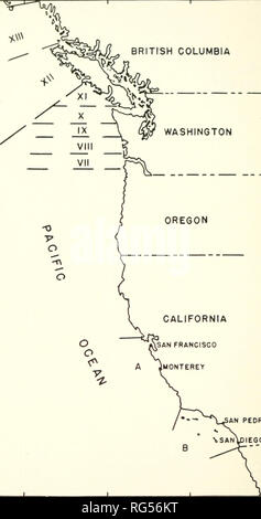 . Kalifornien Fisch und Wild. Fischerei - Kalifornien; Spiel und Spiel - Vögel - Kalifornien; Fische - Kalifornien; Tier Bevölkerungsgruppen; Pêches; Gibier; Poissons. 340 KALIFORNIEN PISH IND SPIEL 130° 125° ICH 20 c BRITISH COLUMBIA WASHINGTON OREGON. Kalifornien eine PEDRO sandiego 50 C 45 C 40° 35° 130° 125 120 "Abbildung 14 8. Sardine Fanggebiete. VII-XIII, Bereiche im Pazifischen Nordwesten der Fischerei. A, San Francisco-Monterey Fischgründe. B, Südkalifornien Fischgründe.. Bitte beachten Sie, dass diese Bilder aus gescannten Seite Bilder, die digital für die Lesbarkeit erhöht worden sein können extrahiert werden - co Stockfoto
