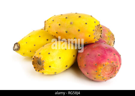 Rot Gelb kaktusfeige oder Opuntia auf einem weißen Hintergrund. Stockfoto