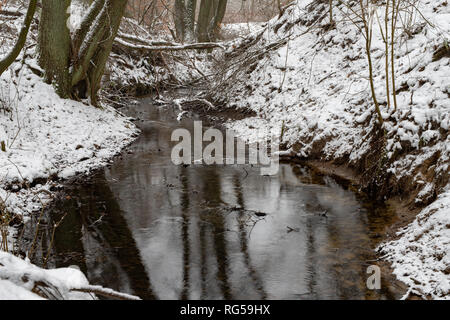 Einen Stream im Schnee in den Wald bedeckt. Eine geringe Menge Wasser fließt im Laubwald. Jahreszeit Winter. Stockfoto