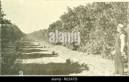 . Kalifornien Land Journal. Landwirtschaft - Kalifornien. Cut zeigt Plan für die Einrichtung der Bolton Elektrische Thermometer. Vire< möge Er verlängerte zu einem beliebigen Abstand ri" quircd.. Der froude Öl Feuer Topf brennt Rohöl für Laub orch - ards bei Kosten von 2^Cents für sechs Stunden Red Hot Fire. Eine Probe erhalten und sehen die Hitze es heraus wirft. Ein Mann mit einer Taschenlampe Licht die ganze Obstgarten in wenigen aiinutes. Wir senden eine Probe von Express, pre-paid, nach Erhalt von 40 mieten, Verpackung und Versandkosten. Öl in einem Topf Prune Orchard Herr A. Block, dem Bekannten orchardist Santa C Stockfoto