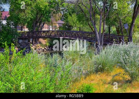 Blick auf Jordan River Trail Fußgänger- und Bahn Brücke mit umgebenden Bäume, Russische Olive, Cottonwood und schlammigen Bach entlang Salt Lake City Stockfoto