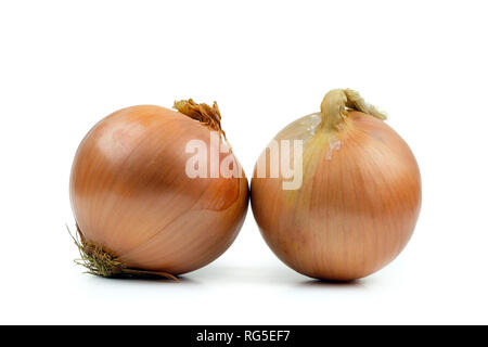 Gelbe Zwiebel auf einem weißen Hintergrund Reif Stockfoto