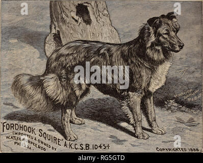 . Die jährlichen Burpee Folgendes Farm, 1892. Baumschulen Pennsylvania Philadelphia Kataloge Kataloge; Blumen; Gemüse; Samen Kataloge Kataloge. i6o rauh - beschichtete SCOTCH COLLIES.. In der EuEAL Xew Yoekee September 26 tli, 1891, erschien ein interessanter Artikel über den Collie Hund, Awith Illustrationen der Barde von Fordhook Fordhook und Stiefmütterchen. Der Editor vorher schrieb zu uns fragen, für die Namen und Adressen von einigen Parteien, die COLLIES von unseren Keunels gekauft hatte. Nicht genau zu wissen, seinen Zweck, die wir von unseren Bücher Ausgewählte mehrere Namen von denen, die von uns gekauft hatte. Es scheint, er schrieb dann an das p Stockfoto