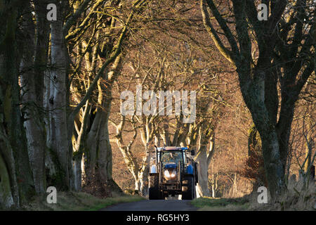 Ein Bauer mit einem Mobiltelefon und einem Traktor und Anhänger entlang einer Tree-Lined Country Lane in Aberdeenshire Stockfoto