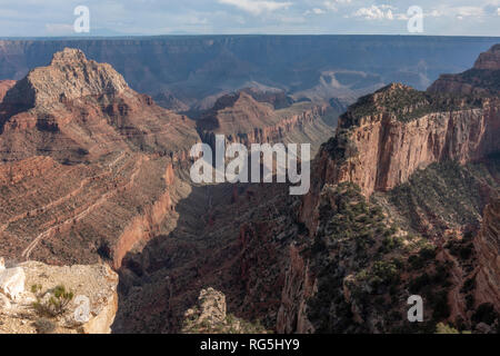 Blick von der Engel Fenster Sicht, Cape Royal, in Richtung Freya Schloss und Vishnu Tempel & der Grand Canyon (ca SE), North Rim, AZ, USA.. Stockfoto