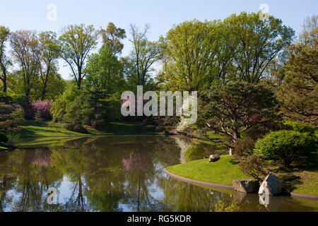 65021-03510 Japanische Gärten im Frühjahr, Missouri Botanical Gardens, St. Louis, MO Stockfoto