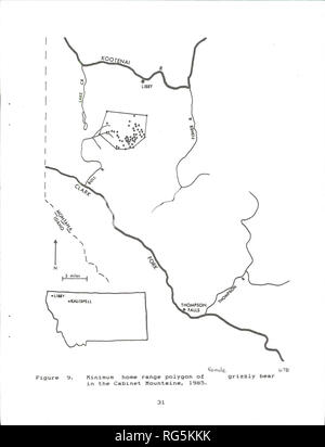 . Kabinett Berge grizzly Bär Studie. Wildlife Management; Grizzly Bär. . Bitte beachten Sie, dass diese Bilder sind von der gescannten Seite Bilder, die digital für die Lesbarkeit verbessert haben mögen - Färbung und Aussehen dieser Abbildungen können nicht perfekt dem Original ähneln. extrahiert. Kasworm, Wayne, 1954; Montana. Abteilung der Fische, Tierwelt, und Parks. [Helena, Mont]: Die Abt. Stockfoto