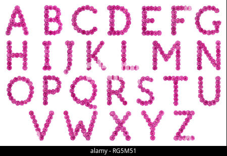 Satz von englischen Alphabet Buchstaben aus natürlichen rosa Blüten von Chrysantheme, auf weißem Hintergrund Stockfoto