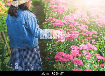 Kleine Mädchen zu Fuß, und berühren Sie auf chrysantheme Blume im Garten, Reisen und Konzept entspannen Stockfoto