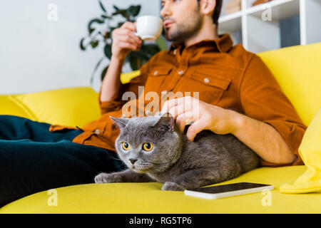 Selektiver Fokus der Smartphone, Britisch Kurzhaar Katze und Mensch mit einem Kaffee auf dem Sofa Stockfoto