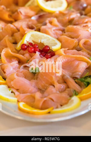 Lachsfilet Vorspeise Stockfoto