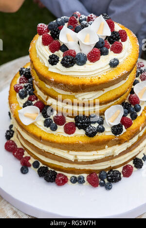 Himbeere und Black Cream Cake Stockfoto