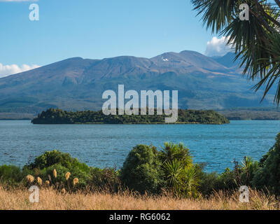 Motuopuhi Insel, betrachtet aus Opotaka historische Māori Siedlungsplatz, See Rotoaira, Tongariro, Neuseeland Stockfoto