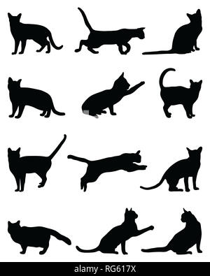 Schwarze Silhouetten von Katzen auf weißem Hintergrund Stockfoto