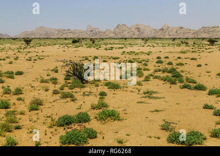 Wüste Berg Landschaft, Saudi-Arabien Stockfoto