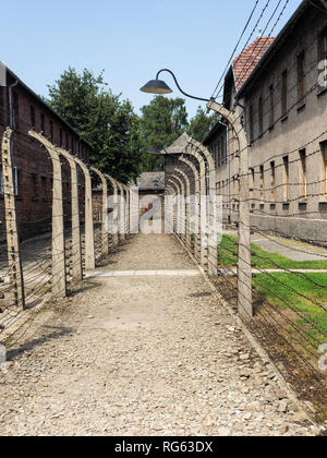 Auschwitz-Birkenau, Polen - 1. August 2017: Trennung Stacheldraht in den Gefangenenlagern Stockfoto