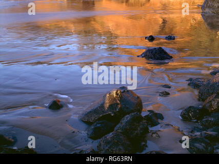 USA, Oregon, Ecola State Park, nassen Sand und Felsen an der indischen Strand. Stockfoto