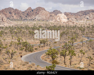 Schöne Landschaft mit Joshua Tree, Berg, Felsen im Joshua Tree National Park, Kalifornien Stockfoto