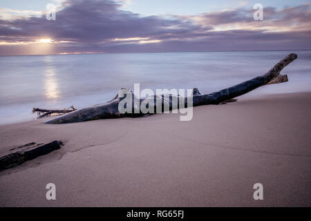 Treibholz auf Wailua Beach, Kauai, Hawaii, in weichen Morgenlicht mit glatten, seidigen Wasser und Wellen. Stockfoto