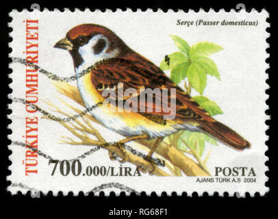 Briefmarke aus der Türkei in die endgültige Briefmarken, 2004, singen die Vögel Serie Stockfoto