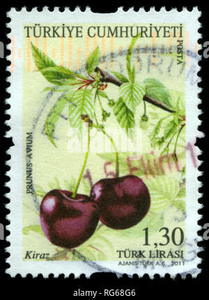 Briefmarke aus der Türkei in die endgültige Briefmarken, 2011, Früchte Serie Stockfoto