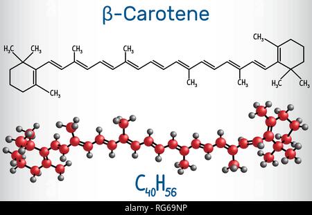 Beta-carotin, Provitamin A, ist eine organische rot-orange Pigment in Pflanzen und Früchte. Strukturelle chemische Formel und Molekül-Modell. Vektor illustratio Stock Vektor