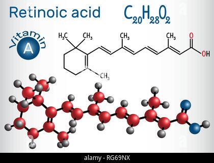 Retinsäure ist ein Metabolit von Vitamin A (Retinol). Strukturelle chemische Formel und Molekül-Modell. Vector Illustration Stock Vektor