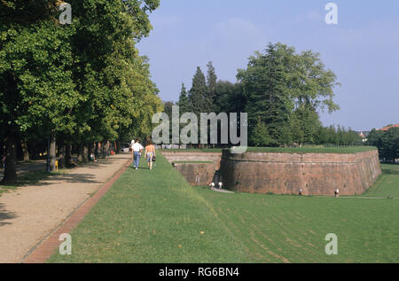 Lucca, le Mura, Toscana (Toskana), Italien Stockfoto