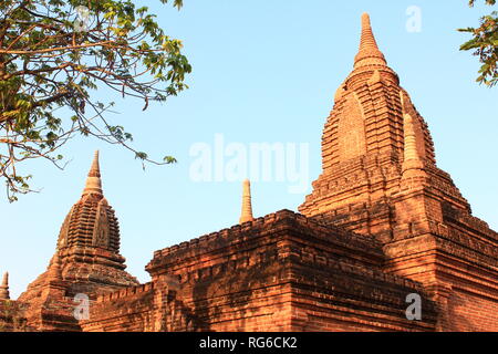 Bagan Tempel, zwischen grünen Büsche und Bäume in der heißen Sonne am ersten Morgen der Tag in Bagan, Myanmar Stockfoto