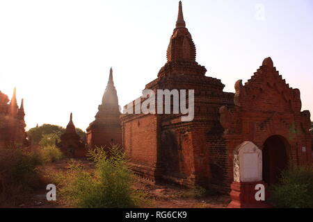 Bagan Tempel, zwischen grünen Büsche und Bäume in der heißen Sonne am ersten Morgen der Tag in Bagan, Myanmar Stockfoto