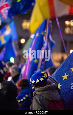 Bleiben Unterstützer mit EU-Flaggen während der Abstimmung Demonstration auf den Parliament Square, Houses of Parliament, London, UK fliegen. Stockfoto