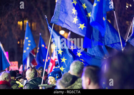 Bleiben Unterstützer mit EU-Flaggen während der Abstimmung Demonstration auf den Parliament Square, Houses of Parliament, London, UK fliegen. Stockfoto