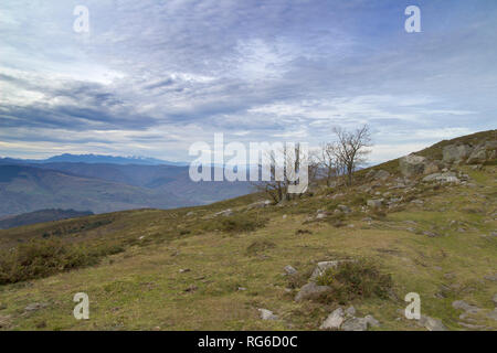 Kantabrien, Blick vom Wanderweg nach Monte Cilda über sanfte Hügel in Richtung Picos de Europa, nachmittags Licht Stockfoto