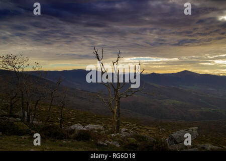 Kantabrien, Blick vom Wanderweg nach Monte Cilda, Abendlicht Stockfoto