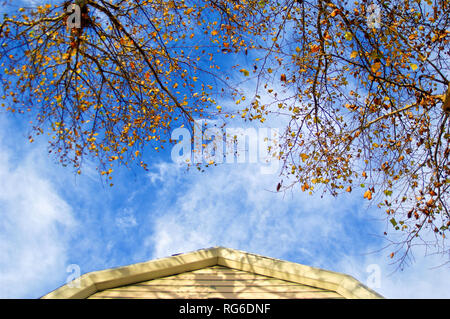 Teilabschnitt des gelb gestrichenen Dachs eines Vorstadthauses Dachgeschoss gegen späten Nachmittag wolkigen blauen Himmel und Herbstbaum Äste mit Blättern gesetzt. Stockfoto