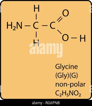 Glycin Aminosäure Molekül Skelettstruktur Stock Vektor