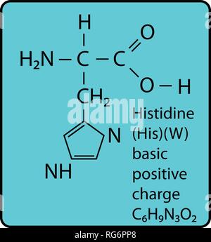Histidin Aminosäure Molekül Skelettstruktur Stock Vektor