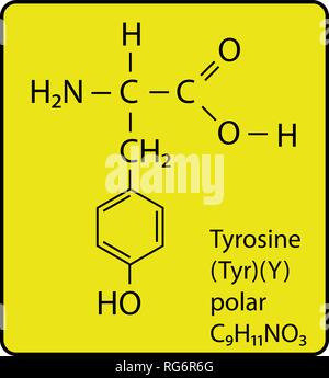 Tryosine Aminosäure Molekül Skelettstruktur Stock Vektor