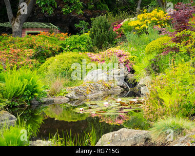 Ein Blick auf das Gartenhaus und Lotus Teich in der brillanten (Abkhazi Garden Abkhazi Gardens) während der Frühling in Victoria, British Columbia, Kanada Stockfoto