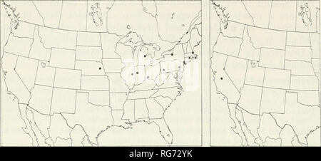. Bulletin - United States National Museum. Wissenschaft. 258 US NATIONAL MUSEUM BULLETIN 216 PAET 3. Zahlen 134,135.- Städte und Gemeinden: 134 (links), Chromocryptus planosaeplanosae; 135 (rechts), C. S. vandykei. F. M. Jones (St. Paul). 9, Midland Co., Michigan, 23. Juli 1959 K.R. Dreisbach (dreisbach). 9, Farmingdale, New York, Aug 7, 1938, H. und M. Townes (townes). 29, aufgezogen von bezirkstreffen velleda, Long Island, New York, 30. Juni 1907, G. S. Engelhardt (Washington und Townes). 9, aufgezogen von Hallisidota tessellaris, Rochester, N.Y., Juni 1932 (Washington), cf, West Farmen, New York City, N.Y., J. Angus (New York) Stockfoto