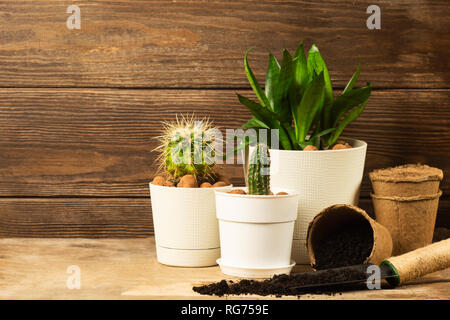 Die Vorbereitung für das Frühjahr pflanzen zu verpflanzen. Topf, Schaufel, Sukkulenten Kakteen. Mit dunklen Holzmöbeln im Landhausstil Hintergrund. Kopieren Sie Platz. Stockfoto